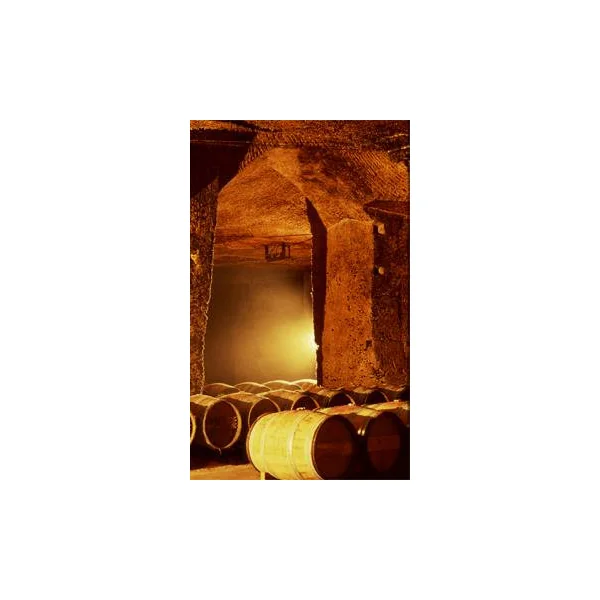 Bellevue St-Émilion 2015