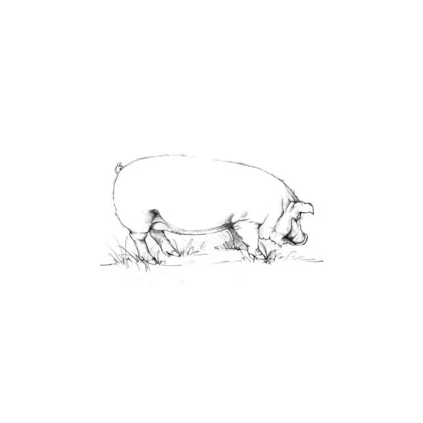 Big Table Farm Pinot Noir Willamette Valley 2019