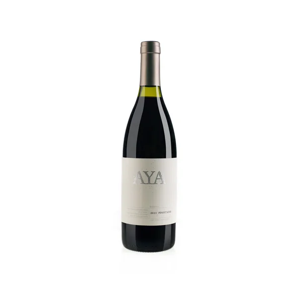 Bodegas Borbore Aya Pinot Noir