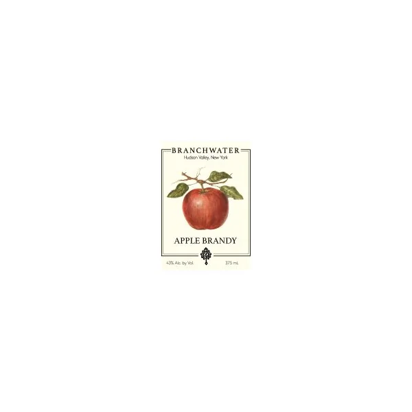 Branchwater Brandy Apple 375ml
