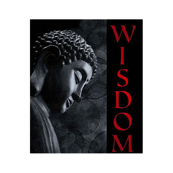 B-Wise Wisdom Red Moon Mountain District 2018