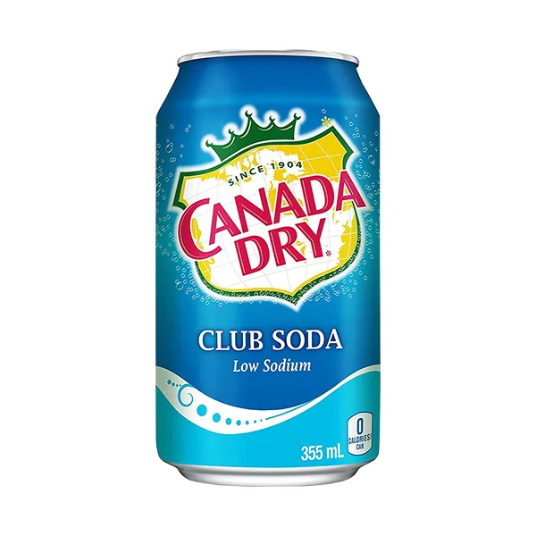 Canada Dry Club Soda • 10 oz Bottle