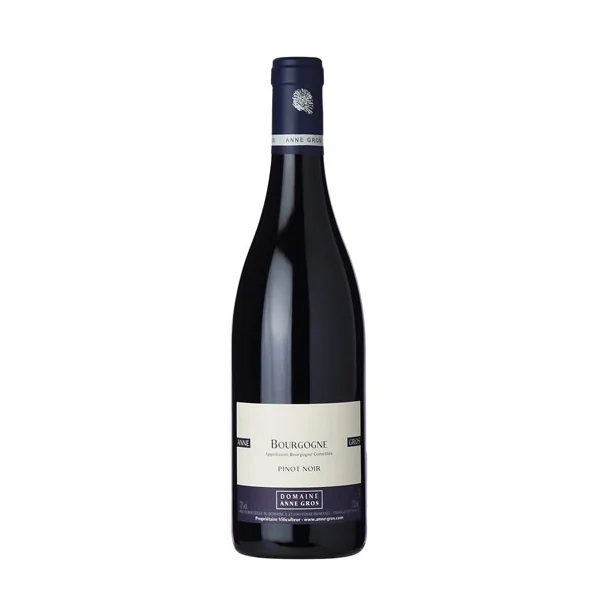 Domaine Anne Gros Bourgogne Pinot Noir 2023 750ml