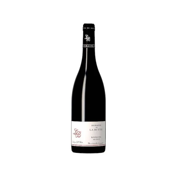 Domaine de la Butte Bourgueil Mi-Pente 2020 750ml