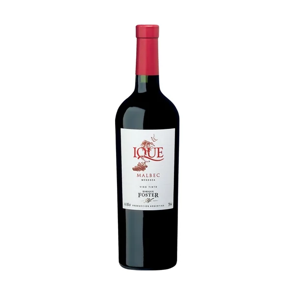 Enrique Foster Malbec Ique 2017 750ml