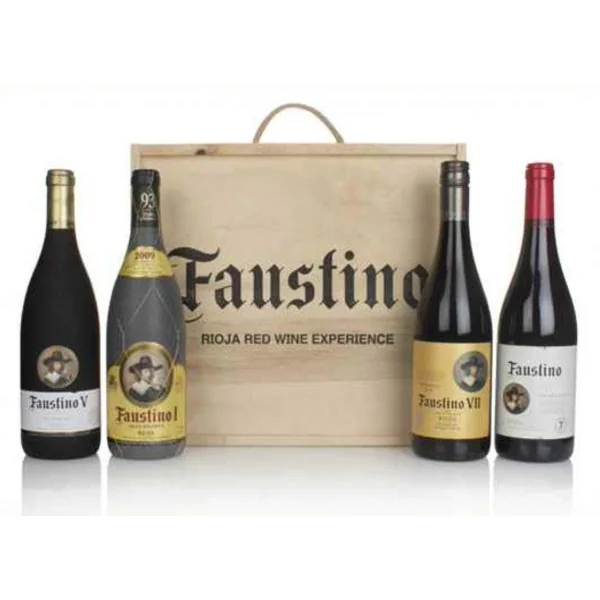 Faustino Rioja Red Experience 4-pack NV