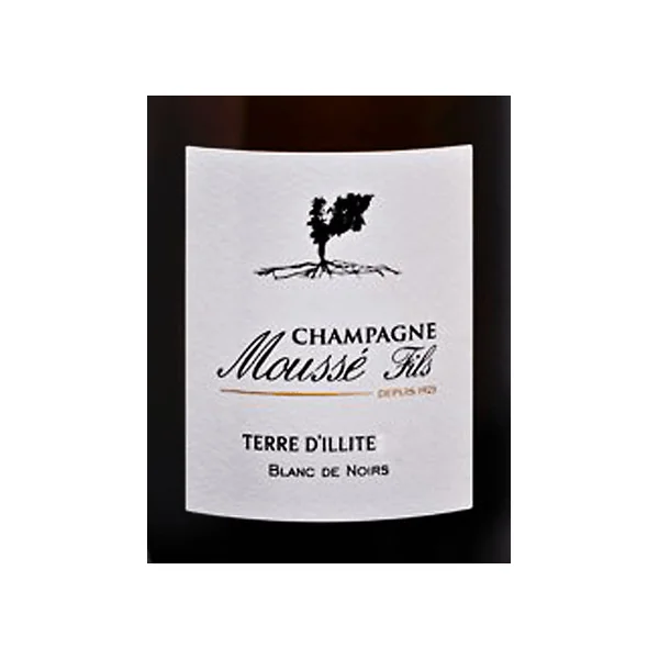 Moussé Extra Brut Blanc de Noirs Champagne Terre d'Illite 2017