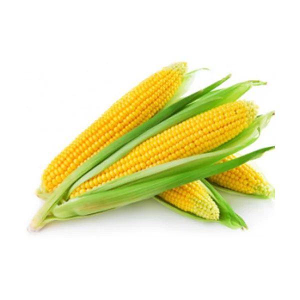 Produce • Corn Yellow