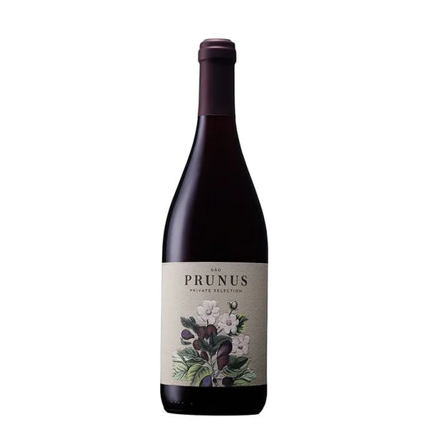Prunus DAO Red