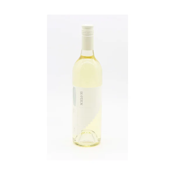Rgny Scielo Sauvignon Blanc