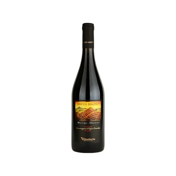 Villadoria Langhe Nebbiolo Bricco Magno 2021 750ml