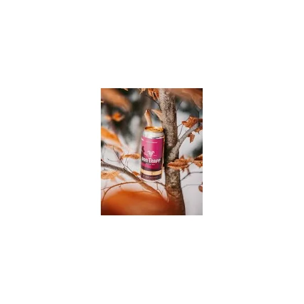 Von Trapp West Coast-Style Pils 16oz 4pk Cans