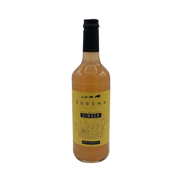 Zurena Drink Mixer • Ginger
